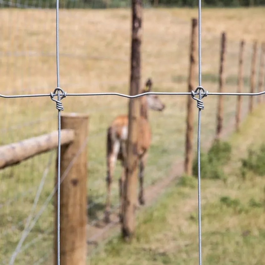 Protect Your Property with High-Quality Field Fence