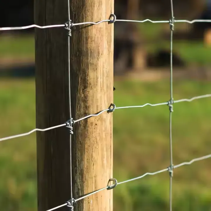 no climb field fence