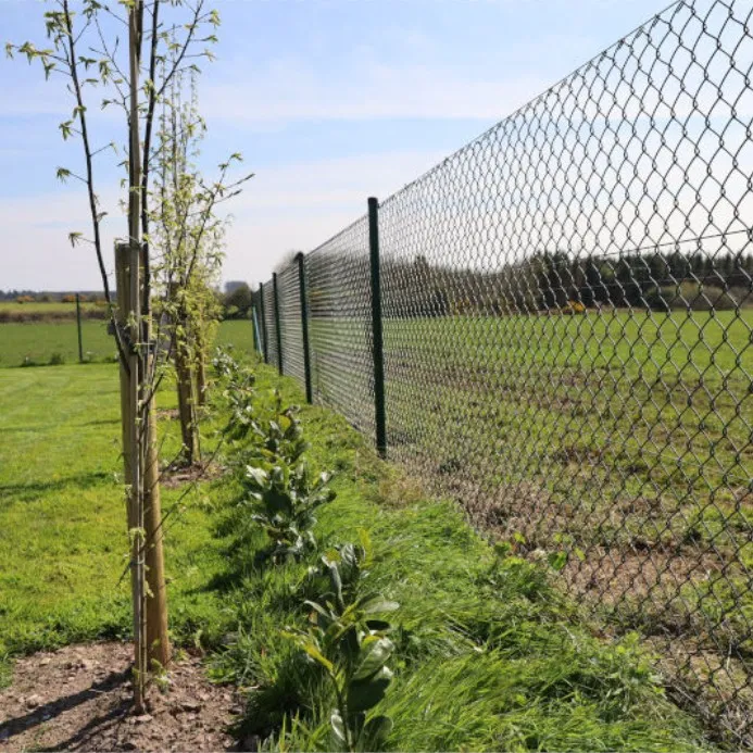 &lt;trp-post-container data-trp-post-id=&#039;1075&#039;&gt;Professional Deer Fence Installation   Durable Metal &#038; Cattle Fencing Solutions&lt;/trp-post-container&gt;
